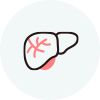 icon_liver