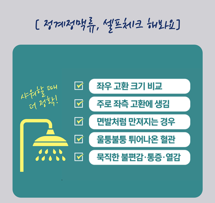 정계정맥류 증상과 치료 민트병원 정맥류센터5 1